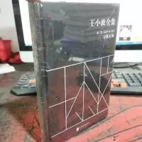 王小波全集(第三卷 长篇小说 剧本):寻找无双