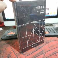 王小波全集(第三卷 长篇小说 剧本):寻找无双