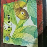 橡果,轱辘