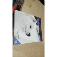乐嘟宠物圈