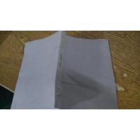 红玫瑰与白玫瑰