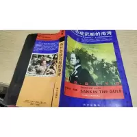 布什总统沉船的海湾