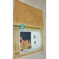 外国中篇小说丛刊 红字