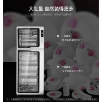 万和立式消毒柜ZTC138P-2LC