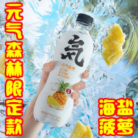 元气森林 海盐菠萝味苏打气泡水480ml