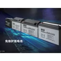 百纳德/bnd UPS电池 NP12-100