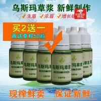 新疆乌斯玛草生眉液生眉液新疆乌斯玛草汁新鲜现榨纯草浆眉毛睫毛增常乌斯曼草男女书院秀