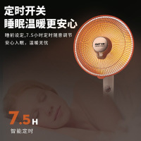 先科小太阳家用立式取暖器碳纤维烤火炉浴室速热电暖气器礼品