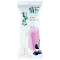 植轻黑醋栗