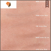 肤色网纹蕾丝双眼皮贴 美目贴(5个型号可选)粘性好 隐形 不反光 三维工匠