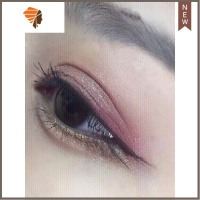 小红书林允蕾丝双眼皮贴女无痕隐形免撕遇水粘网纱内双化妆师专用 三维工匠