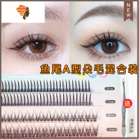 A型鱼尾混合装仙子假睫毛女自然仿真单簇分段朵毛嫁接种植虞书欣 三维工匠