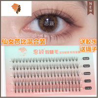 假睫毛夹心组合款超自然芭比娃娃嫁接朵毛自嫁假睫毛浓密单簇 三维工匠