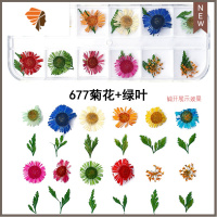 美甲饰品小干花瓣叶大花朵真花12色3d指甲油胶光疗贴花满天星 三维工匠 677菊花+绿叶美甲贴