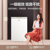 美的(Midea)BD/BC-100KMT(E)小冰柜家用100L高端时光系列净味迷你家用囤货冷柜一级能效母婴母乳小冰箱