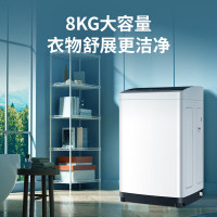 松下(Panasonic)波轮洗衣机全自动8公斤 宿舍租房神器 迷你内衣洗衣机智能桶自洁XQB80-KYA0N