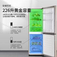 澳柯玛(AUCMA)BCD-226WH 冰箱 226升小型双门 时尚炫金家用冰箱 风冷无霜 银离子净味 省电节能低噪