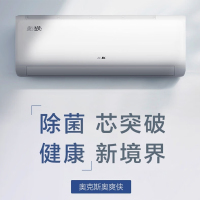 奥克斯( AUX)KFR-26GW/BpR3AQG600(B1)新一级能效 奥爽侠 变频冷暖自清洁独立除湿壁挂空调挂机