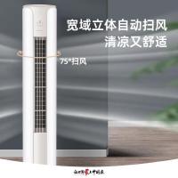 [咨询查库存]格力(GREE)立柜空调 KFR-72LW/(72587)FNhAc-B1 3匹 京畅 新一级能效 变频冷