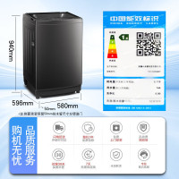 小天鹅波轮洗衣机12公斤大容量防缠绕银离子除菌深层除螨直驱变频全自动TB120M08DT