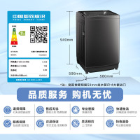 [元旦秒抢]小天鹅波轮洗衣机全自动12公斤大容量水魔方防缠绕银离子除菌无孔内筒抗菌TB120M08T