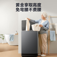 美的(Midea)波轮洗衣机全自动 8kg大容量家用专利免清洗防腐防生锈高洗净比仿手搓超净洗 租房神器 MB80V36T