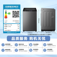 小天鹅(LittleSwan)洗衣机波轮全自动10公斤升级超净洗强去污智能预约一键智洗TB100V63AB