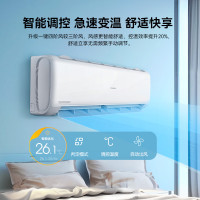 长虹空调大1匹新一级省电熊猫长虹空调大1懒变频空调挂机卧室 KFR-26GW/ZDCSW1+R1(SE) 1匹 一级能效