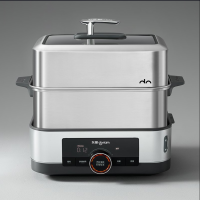 东菱(Donlim)DL-1005电蒸锅炖蒸煮一体多功能锅双层大容量不锈钢陶瓷汽锅鸡高温速蒸预约保温