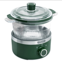 东菱(Donlim)DL-9002电炖锅(森野绿)煲汤燕窝隔水炖盅养生隔水炖锅BB煲汤小锅玻璃电炖锅食补养颜