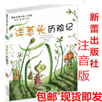 洋葱头历险记 注音版 国际大奖小说 儿童书书 新蕾出版社