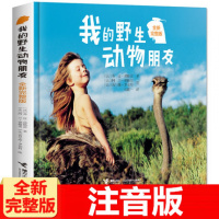 我的野生动物朋友 自然科学少儿科普 注音版 全新完整版