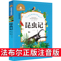 昆虫记注音版法布尔正版小学生二年级三年级一年级儿童美绘版拼音版绘本彩图课外书阅读老师推荐必读书籍读物6-7-8-10