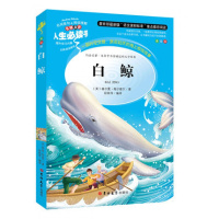 白鲸 赫尔曼梅尔维尔,段依萍译 人生必读书带阅读理解知识考点读后感 海洋题材小说8-9-10-12-13岁儿童文学学生