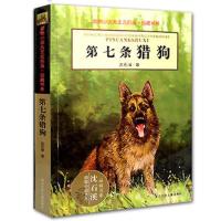 第七条猎狗 动物小说大王一只猎雕的遭遇作者沈石溪著