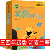 笨狼的故事三年级四年级汤素兰著二年级一年级半小时爸爸三四年级系列 当警察 诞生记 读物全套浙江少年儿童出版社非注音版