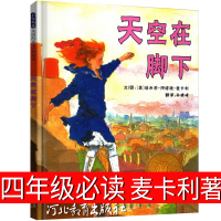 天空在脚下 四年级必读河北教育出版社麦卡利著绘本小学生课外书正版老师指定课外阅读书籍儿童读物4年级班主任推荐少儿书籍