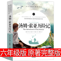 汤姆索亚历险记正版六年级小学版原著完整版无删减人民6年级必读马克吐温文学小说青少年全套教育读物汤姆.索亚历险记开明出版社