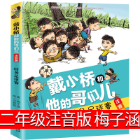 戴小桥和他哥们儿注音版二年级梅子涵新蕾出版社三年级戴小桥和他的哥们儿特务足球赛全集全套全传小学生课外书阅读书籍