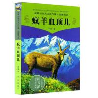 动物小说大王沈石溪品藏书系疯羊血顶儿 儿童书8-10-12周岁儿童文学三四五六年级小学生课外阅读故事书