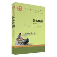 名家名译 文学名著 原汁原味读原著 瓦尔登湖 儿童励志成长文学 青少年名著书籍 课外读名著书籍