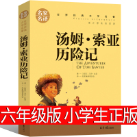 汤姆索亚历险记正版六年级小学版原著人民6年级必读马克吐温无删减文学小说青少年全套教育读物汤姆.索亚历险记北京出版社完整版