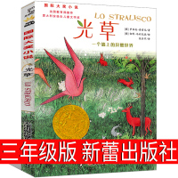 光草书籍新蕾出版社三年级课外阅读小学生课外书(一个墙上的异想世界)二年级四年级五年级必读正版国际大奖小说儿童文学