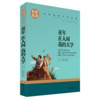 ()名家名译 文学名著 原汁原味读原著童年 在人间 我的大学 儿童励志成长文学 青少年课外名著书籍
