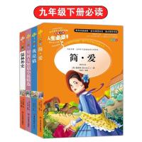 儿童书籍名师点评人生必读书《我是猫》《契科夫短篇小说精选》《简爱》《儒林外史》经典名著(名师全解版)语文经典文库