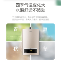海尔JSQ22-12D11燃气热水器天然气12升恒温强排即热式