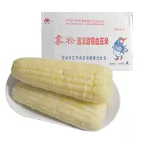 速冻甜糯白玉米(40根/箱)