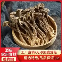 福建特产古田鹿茸菇干货鹿茸菌无硫熏新货无碎鹿耳菇可批发食用菌煲汤