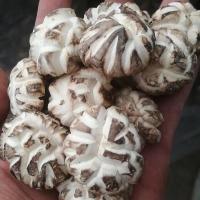 花菇农家特产香菇干货山货野生东北大花菇肉厚干蘑菇椴木冬菇250g