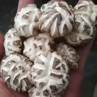 花菇农家特产香菇干货山货野生东北大花菇肉厚干蘑菇椴木冬菇250g
